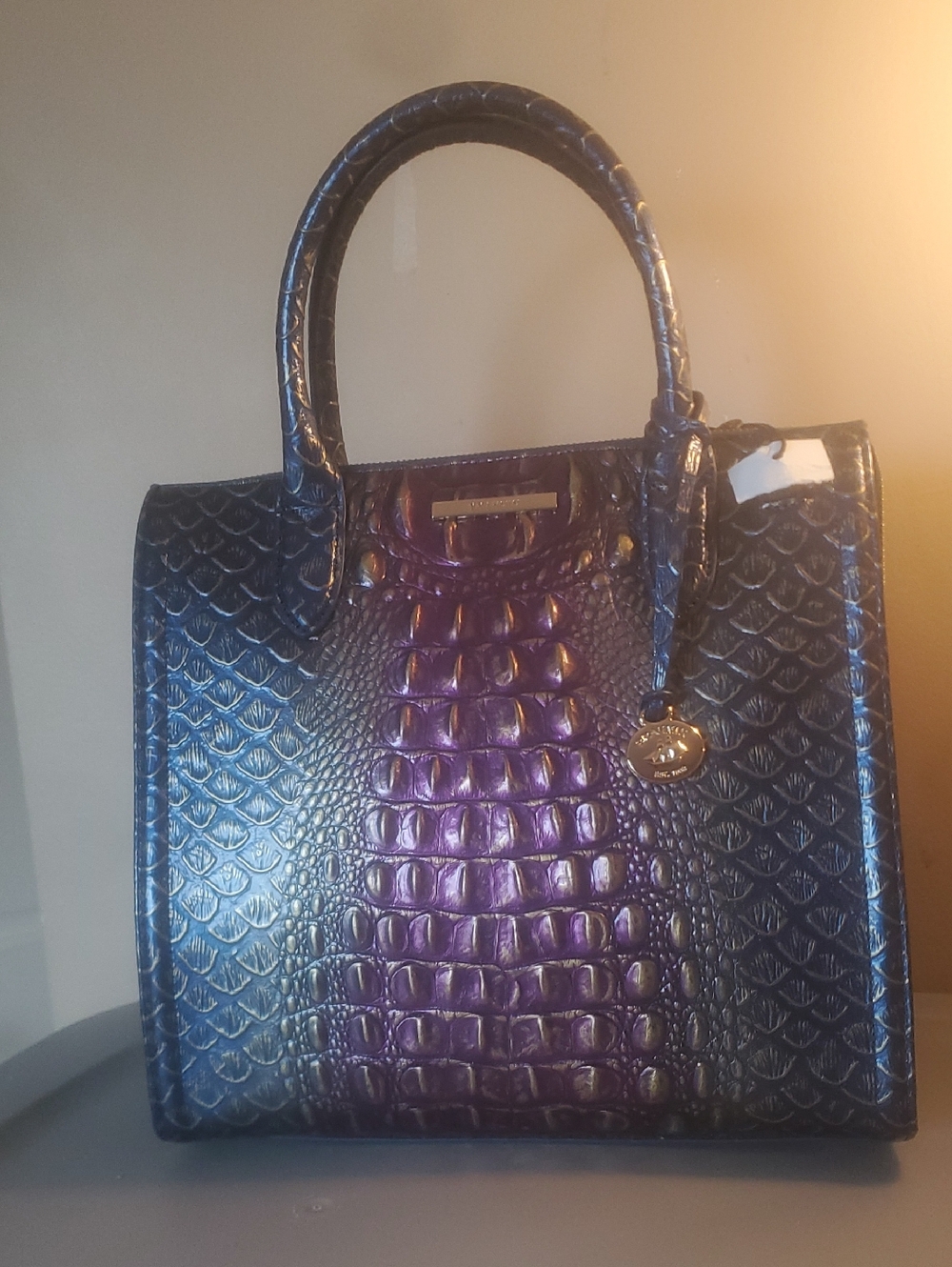Brahmin Caroline Fig Jam Bowlin.purple and Blue Leather.